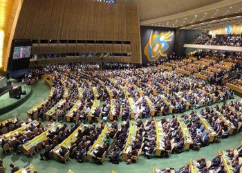 BM Genel Kurulu, insani tasarıyı oyladı