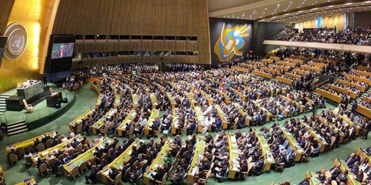 BM Genel Kurulu, insani tasarıyı oyladı