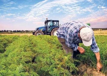 Bakırlıoğlu: Türkiye gübrede tamamen dışa bağımlı hale geldi