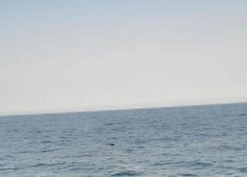 Boğaz'dan sonra Karadeniz'de de mayın: SAS timleri tarafından etkisiz hale getirildi