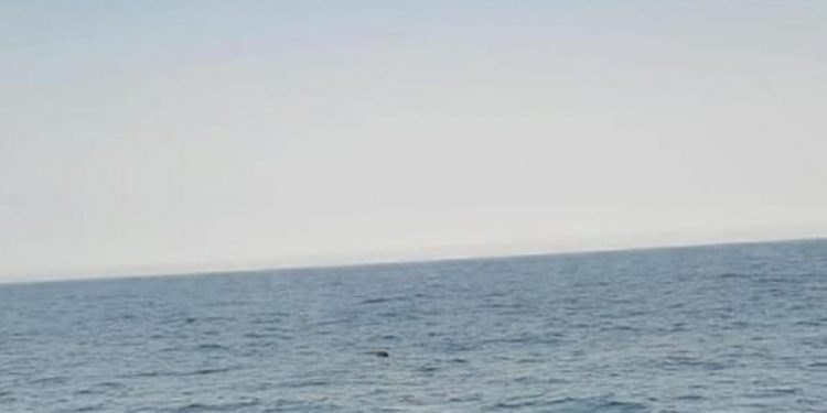 Boğaz'dan sonra Karadeniz'de de mayın: SAS timleri tarafından etkisiz hale getirildi