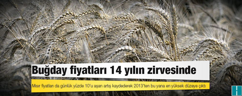 Buğday fiyatları 14 yılın zirvesinde