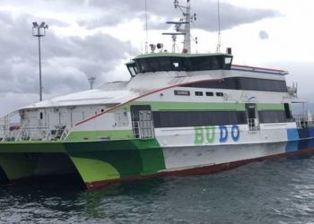 Bursa-İstanbul deniz otobüsü seferlerinden bazıları iptal edildi