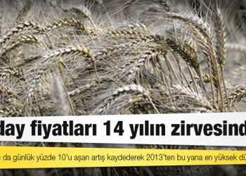 Buğday fiyatları 14 yılın zirvesinde