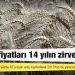 Buğday fiyatları 14 yılın zirvesinde