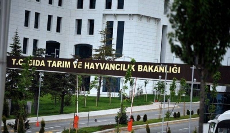 Cumhurbaşkanı atadı ama bakanlıkta adı yok: Çalışmadan genel müdür maaşı alıyor