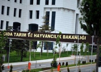 Cumhurbaşkanı atadı ama bakanlıkta adı yok: Çalışmadan genel müdür maaşı alıyor