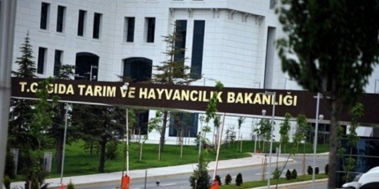 Cumhurbaşkanı atadı ama bakanlıkta adı yok: Çalışmadan genel müdür maaşı alıyor