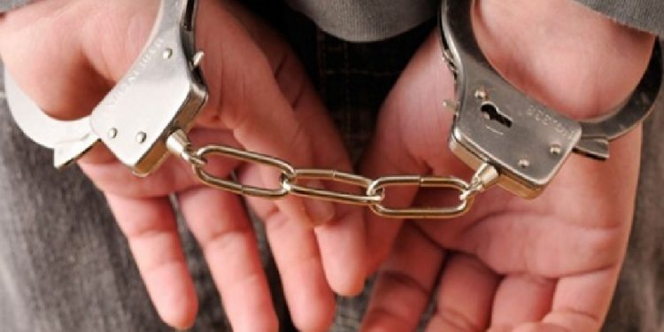 Diyarbakır’da kadınlara şafak operasyonu