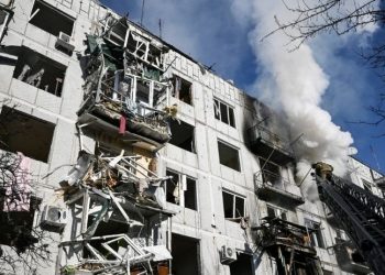 Dünya Gıda Programı: Ukrayna'daki savaş, küresel gıda güvenliğini tehdit ediyor