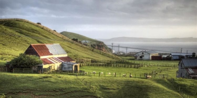 Dünyanın en ücra yerlerinden birinde ilk Covid-19 vakası görüldü