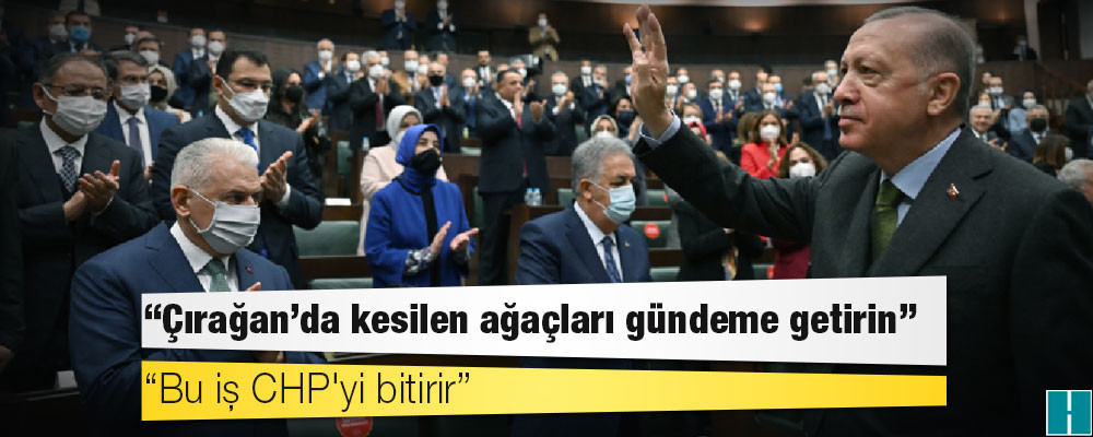 Erdoğan'dan AKP'li vekillere "Çırağan'da kesilen ağaçları gündeme getirin" talimatı: Bu iş CHP'yi bitirir