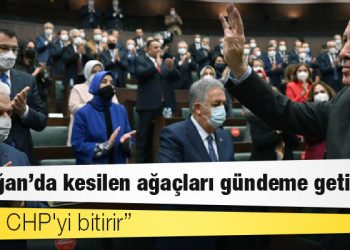 Erdoğan'dan AKP'li vekillere "Çırağan'da kesilen ağaçları gündeme getirin" talimatı: Bu iş CHP'yi bitirir