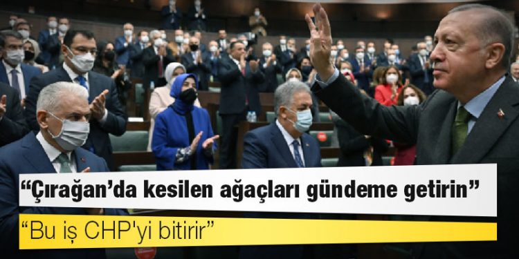 Erdoğan'dan AKP'li vekillere "Çırağan'da kesilen ağaçları gündeme getirin" talimatı: Bu iş CHP'yi bitirir