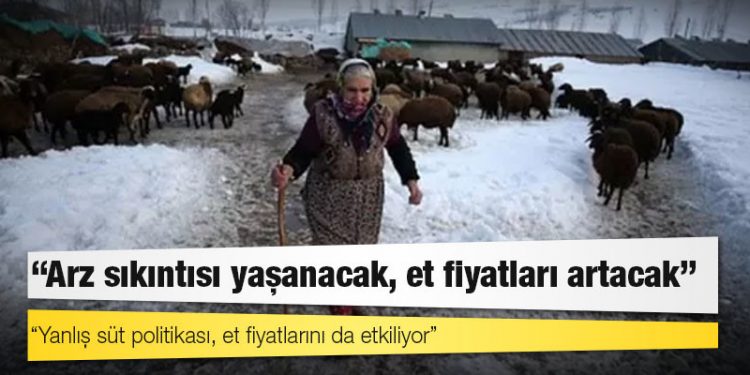 Et fiyatları: 'Türkiye’nin et stoku azalıyor, iki ay boyunca yeni zamlar gelecek'