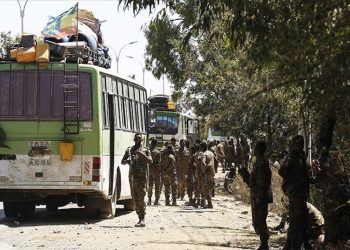 Etiyopya'nın Tigray savaşı: Hükümet, insani ateşkes ilan etti