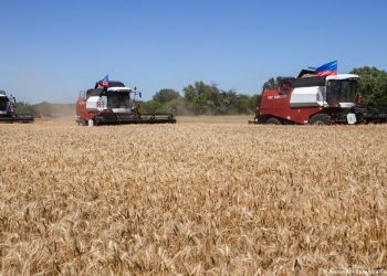 FAO: Gıda ve yem fiyatları yüzde 20 artabilir