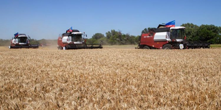 FAO: Gıda ve yem fiyatları yüzde 20 artabilir