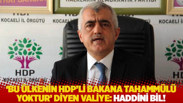 Gergerlioğlu, 'Bu ülkenin HDP'li bakana tahammülü yoktur' diyen valiye yanıt verdi