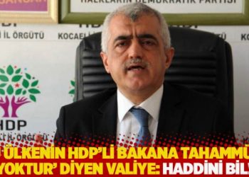 Gergerlioğlu, 'Bu ülkenin HDP'li bakana tahammülü yoktur' diyen valiye yanıt verdi