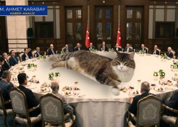 Gücü Şero’ya yeten AYM, Erdoğan’a ne diyecek?