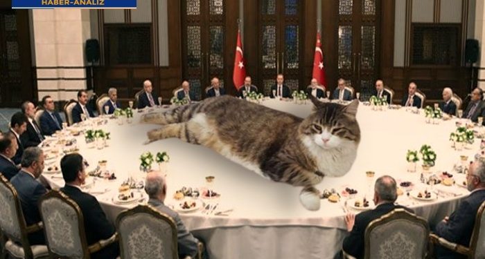 Gücü Şero’ya yeten AYM, Erdoğan’a ne diyecek?