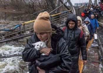 HRW: Rusya Irpin'de savaş hukukunu ihlal etti