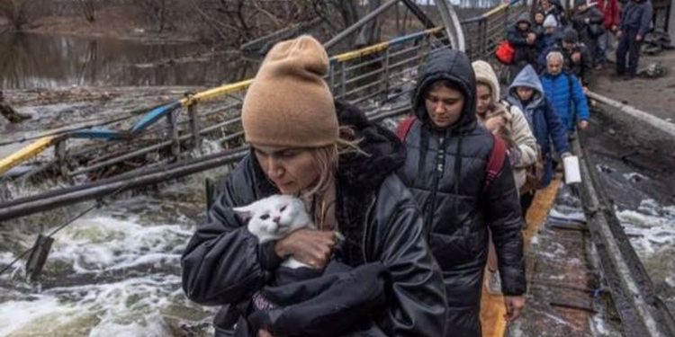 HRW: Rusya Irpin'de savaş hukukunu ihlal etti