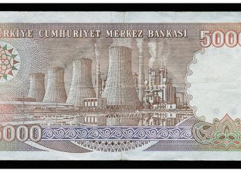 Kahramanmaraş'ta mahkeme Afşin C Termik Santrali için yürütmeyi durdurma kararı verdi, bundan sonra ne olacak?