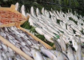 Kar yağışı balık fiyatlarında artışa neden oldu