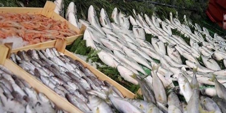 Kar yağışı balık fiyatlarında artışa neden oldu