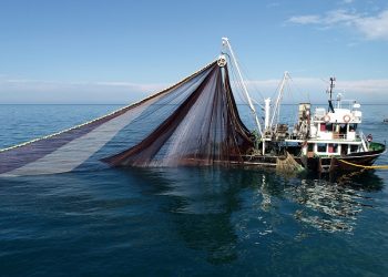 Karadeniz’de mayın alarmı! Balık avı ikinci bir duyuruya kadar yasaklandı