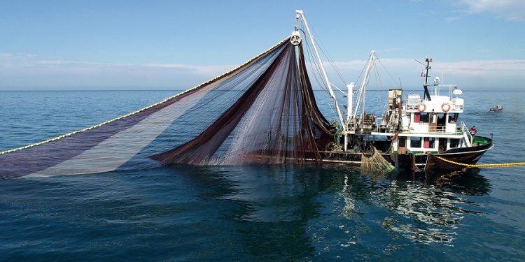 Karadeniz’de mayın alarmı! Balık avı ikinci bir duyuruya kadar yasaklandı
