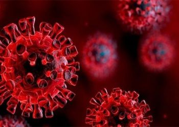 Koronavirüste bugün: 123 kişi hayatını kaybetti, 19 bin 126 yeni vaka tespit edildi