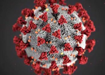 Koronavirüste bugün 77 kişi daha hayatını kaybetti, 16 bin 894 yeni vaka tespit edildi