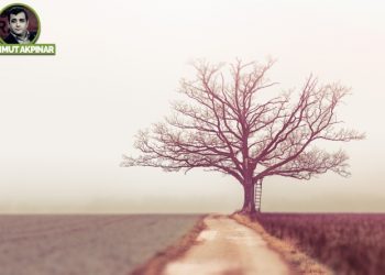 Kökünden sökülen ağaçlar gibiyiz