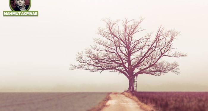 Kökünden sökülen ağaçlar gibiyiz