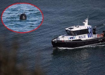 Mayın Odessa'dan İstanbul'a nasıl geldi?: Uzmanlardan 'kazayla gelmiş olamaz' açıklaması