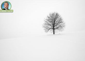 Meftunuyuz bu sevdanın