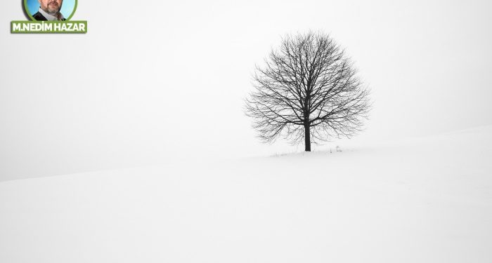 Meftunuyuz bu sevdanın