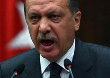 Mehmet Y. Yılmaz: Narsistlik bir durum var, Erdoğan'ın ciddi öfke kontrolü ihtiyacı var