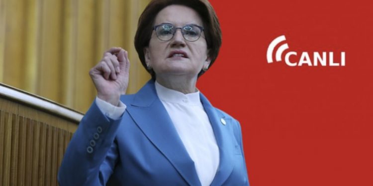 Meral Akşener'den Erdoğan'a sert sözler: 'Çekirge sürüsü gibi çöküveriyor'