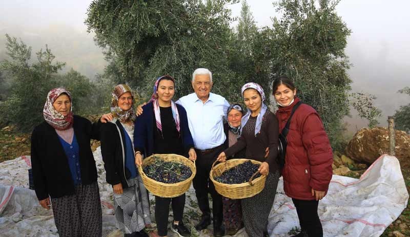 Muğla Büyükşehir Belediye Başkanı Gürün’den zeytinliklerin korunması için mücadele hamlesi