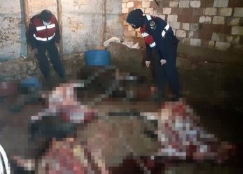 Piyasaya süreceklerdi: At ve eşek kesen 5 kişi suçüstü yakalandı