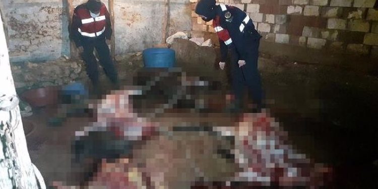 Piyasaya süreceklerdi: At ve eşek kesen 5 kişi suçüstü yakalandı