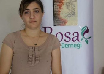 Rosa Kadın Derneği yöneticisine ceza istemi