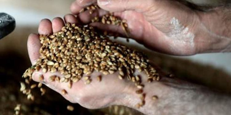 Rusya, Batı'nın uyguladığı yaptırımlara karşılık birçok ham maddenin ihracatını yıl sonuna kadar yasakladı