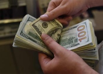 Rusya Merkez Bankası döviz satışını 6 ay askıya aldı