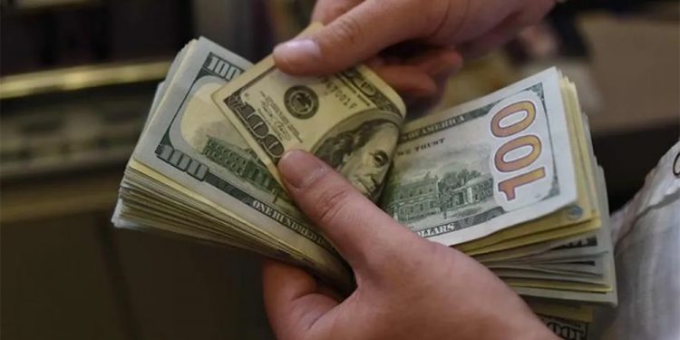 Rusya Merkez Bankası döviz satışını 6 ay askıya aldı