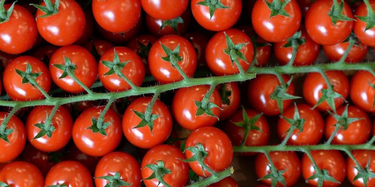 Rusya, Türkiye'den sebze ithalatını artırma kararı aldı